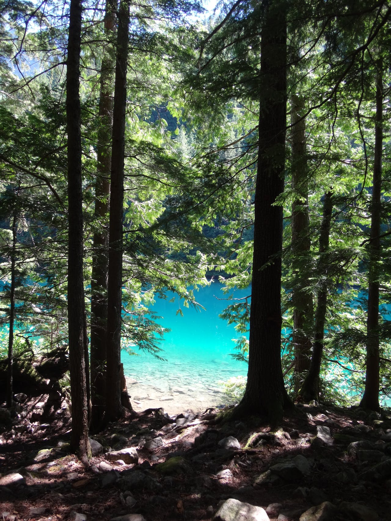 pexels-ferns-3881676