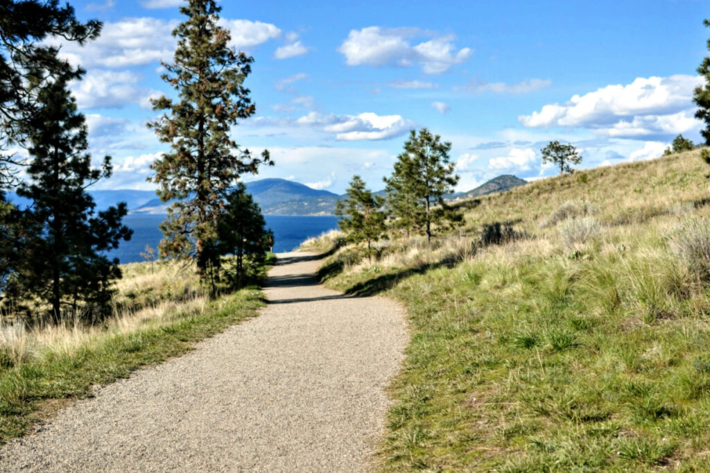 Walk-Talk-Therapy-kelowna