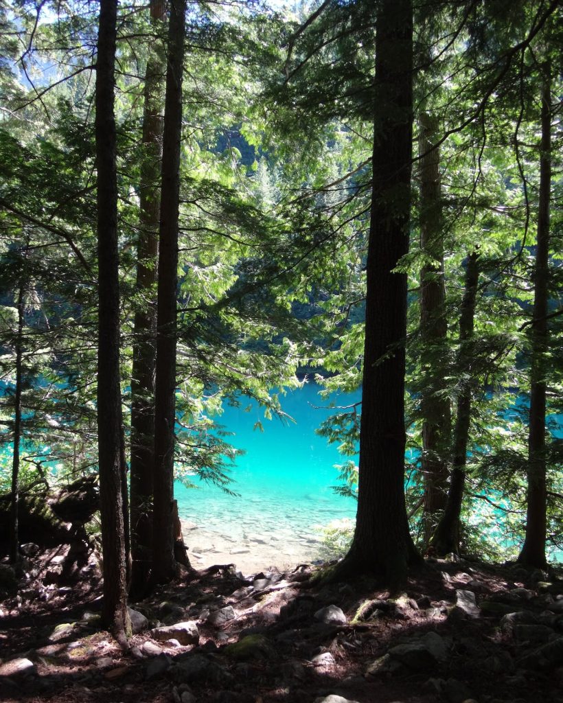 pexels-ferns-3881676