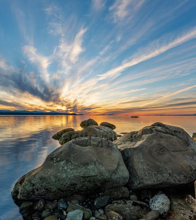 pexels-james-wheeler-14626538